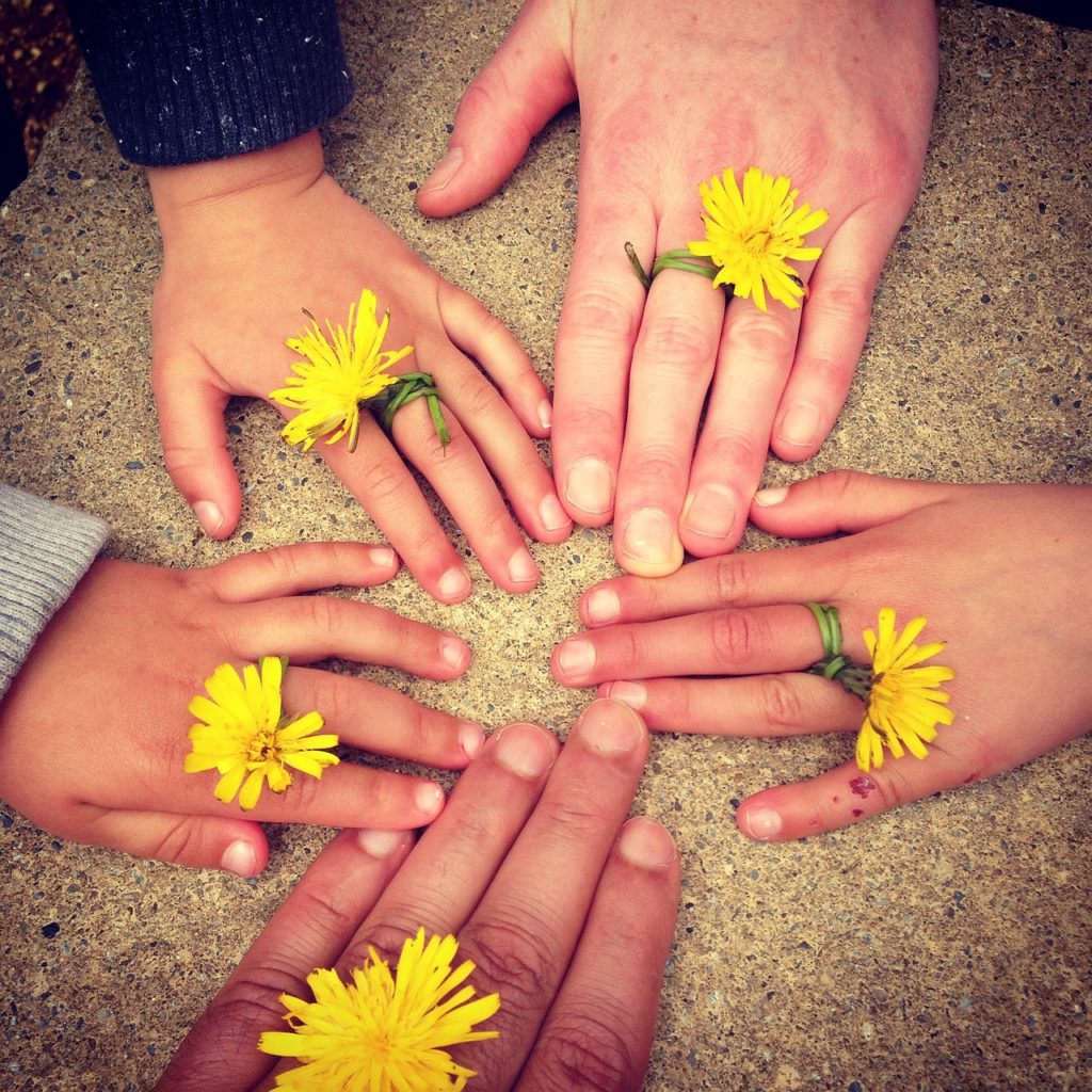 family hand, outdoors, ireland-1636615.jpg